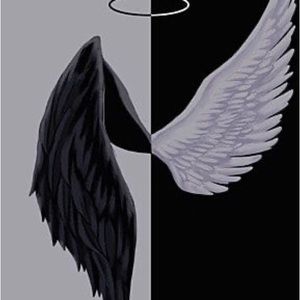 Meet your Posher, Chase